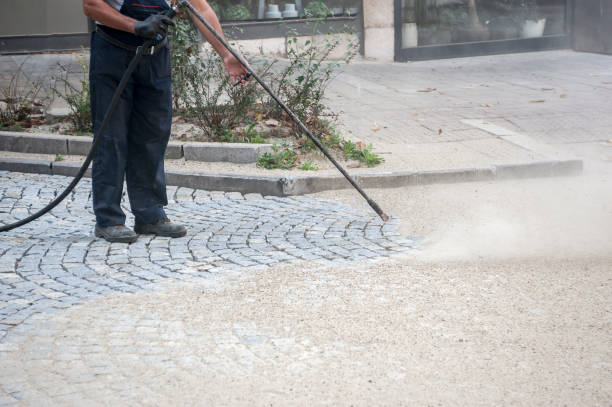 Best Boat and Dock Cleaning  in Hidalgo, TX