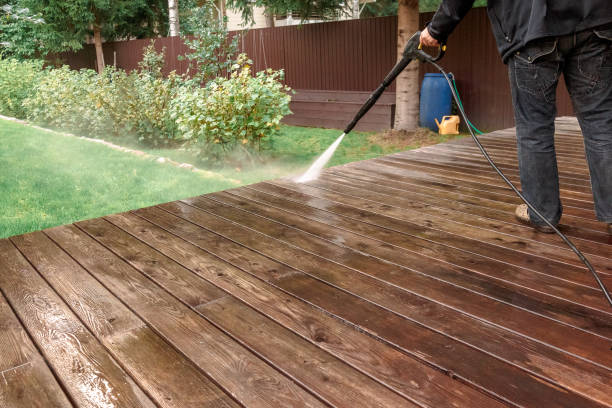 Animal Enclosure Cleaning in Hidalgo, TX