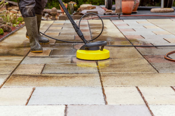 Trusted Hidalgo, TX  Pressure Washing Services Experts
