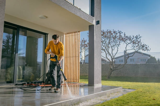 Best Dumpster Area Cleaning  in Hidalgo, TX