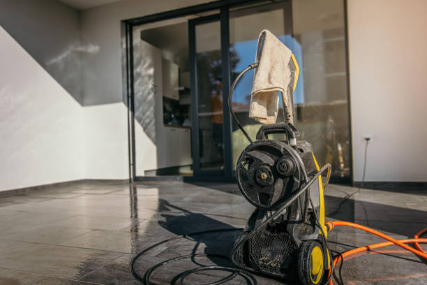 Best Sidewalk and Walkway Cleaning  in Hidalgo, TX