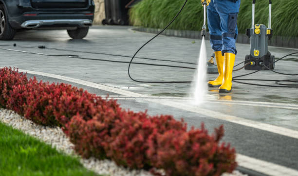 Best Dumpster Area Cleaning  in Hidalgo, TX