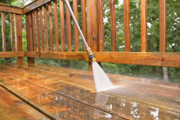 Best Building Exterior Washing  in Hidalgo, TX